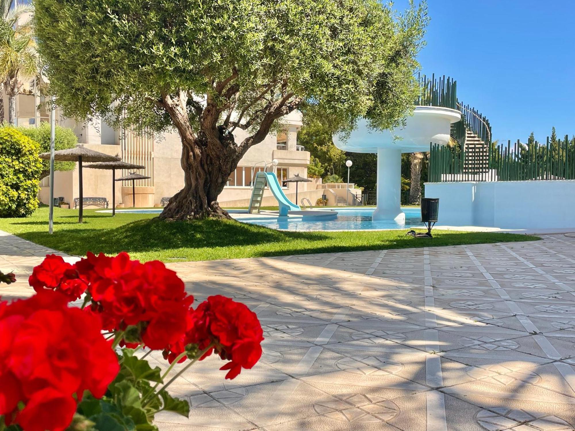 Large Relaxed Terrace, Golf Views Lägenhet Alicante Exteriör bild